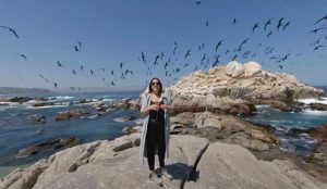 La bióloga marina Pilar Muñoz aboga por la reconexión con el mar para su conservación. #alfabetizaciónoceánica #océanos