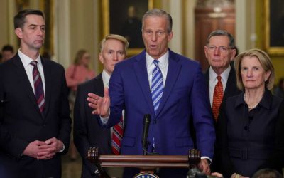 Senado Aprueba Fondos para TSA y DHS Sin ICE: Fin del Caos en Aeropuertos Tras 42 Días — ¿Qué Significa Para la Comunidad Hispana?