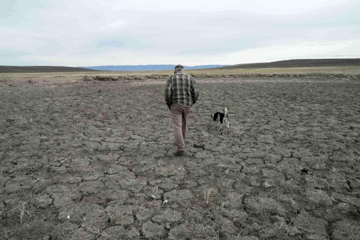 Agricultor en tierra seca por sequía