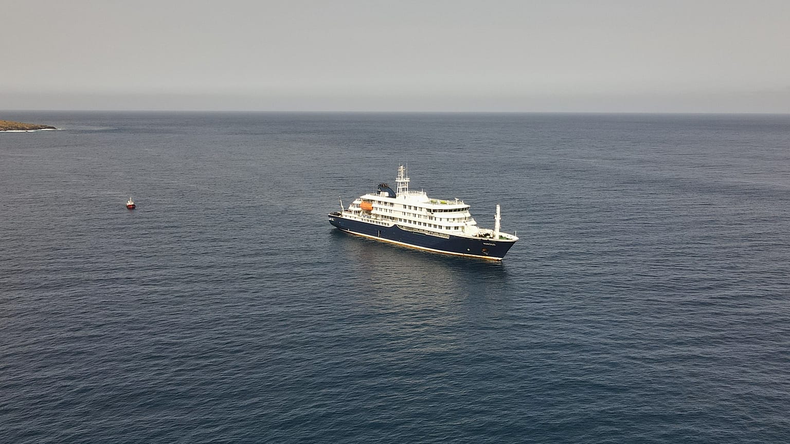 Brote de hantavirus en crucero deja tres muertos; se confirma cepa que se transmite entre humanos