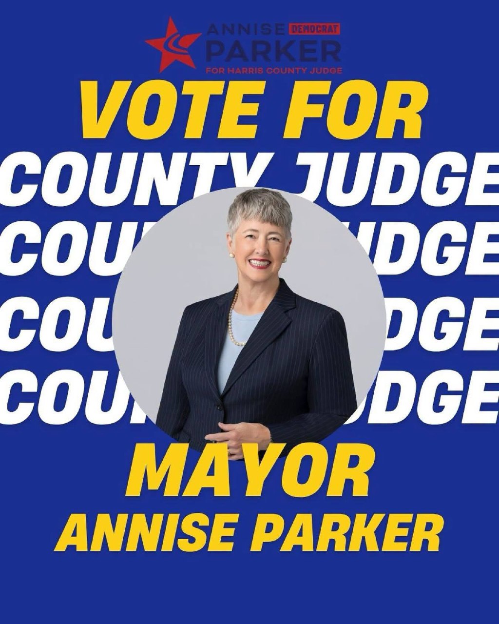 Gráfico de campaña Vote for County Judge Mayor Annise Parker